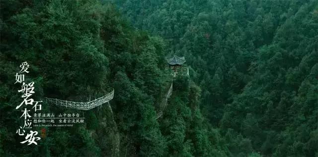 发现冷知识的买了保险,保险合同怎么看?平台